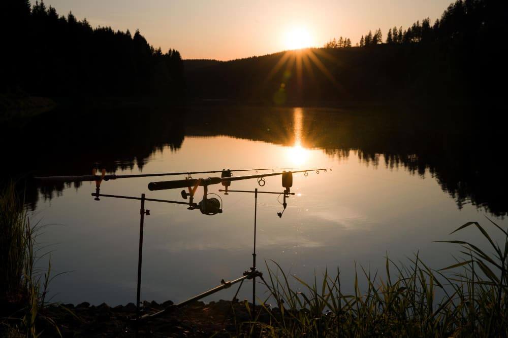 Pesca en el río Colorado: Secciones y temporadas